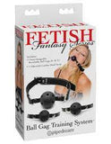 Ball gag training system