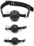 Ball gag training system